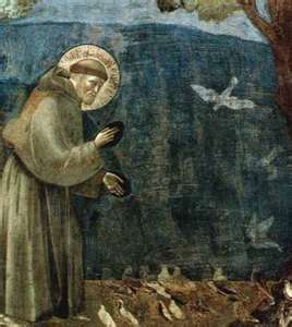 Francis Sermon:Birds