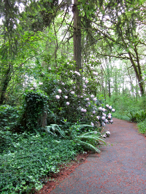 Franciscan Path 2
