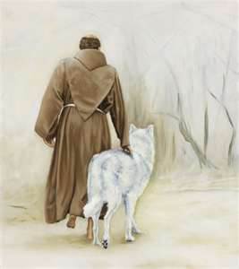 new francis 1