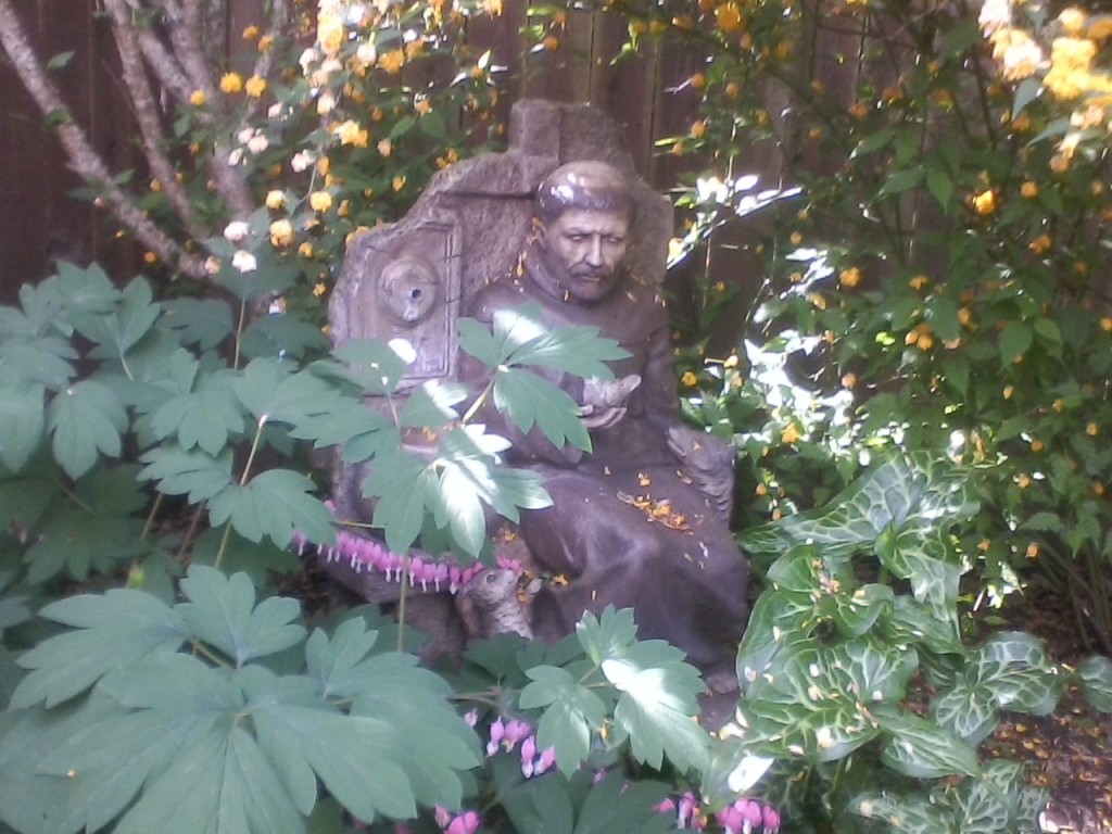 Yard Francis