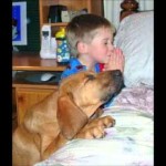 boy and dog praying